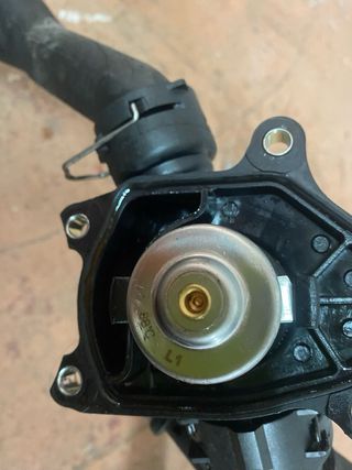 Termostato y manguitos de agua bmw 320d 150cv 204D