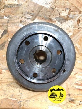 Volante motor Yamaha Grizzly 660