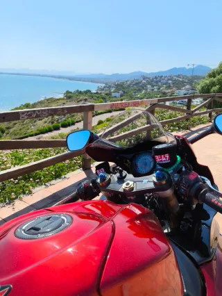 Suzuki GSX-R 1000 K7 Roja