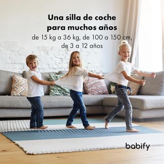 Babify Silla de Coche para Bebés FlexiFit Basic -