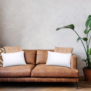 Utopia Bedding Relleno de Cojín 50 x 50 cm (2 Unid