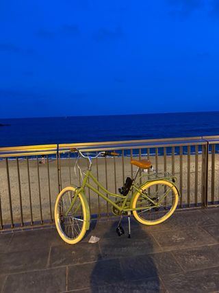 Bicicleta urbana artesanal Talla S