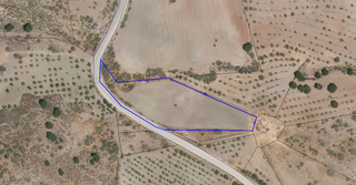 Terreno rústico de secano