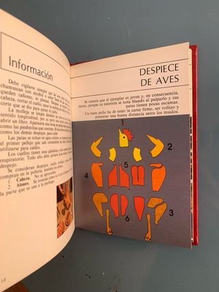 Biblioteca De Oro De La Cocina. Técnicas Básica...