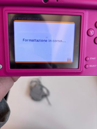 Nintendo DSi Rosa con Caricabatterie