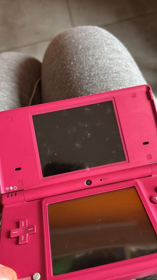 Nintendo DSi Rosa con Caricabatterie