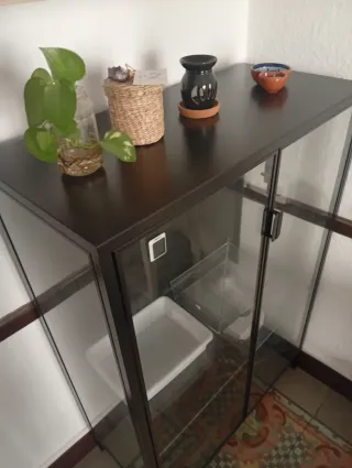 Vitrina RUDSTA IKEA Negra y Transparente