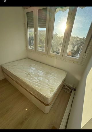 Canapé individual con colchón Aloe Vera