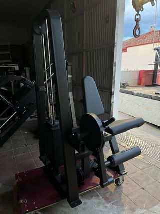 extensión de cuádriceps profesional