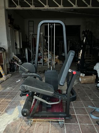 extensión de cuádriceps profesional