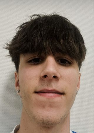 Profesor particular con experiencia