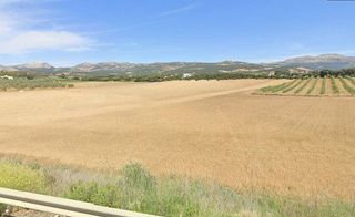 Terreno en venta en Ronda