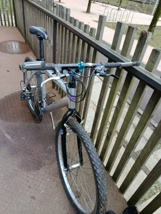 Bicicleta Aluminio ALU 26