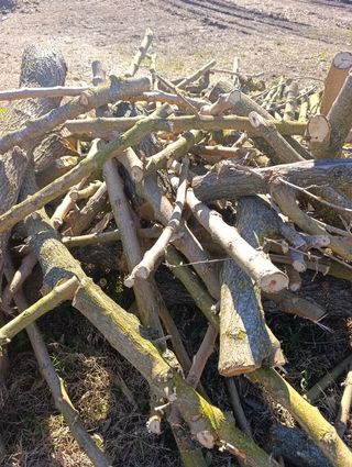 Madera variada para leña o manualidades