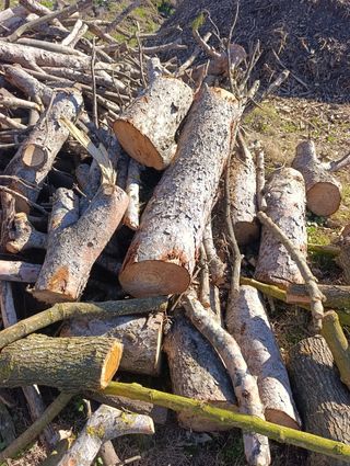 Madera variada para leña o manualidades