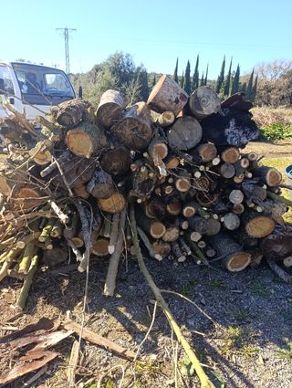 Madera variada para leña o manualidades