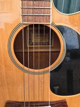 Guitarra Rockwood LX250G by Hohner