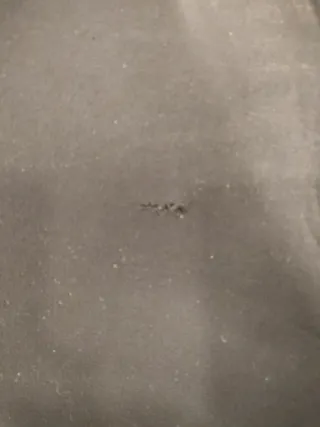 Conjunto Neopreno 5mm + Accesorios 3 mm.