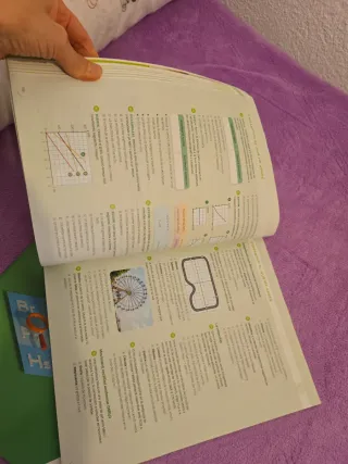 FISICA I QUIMICA 4 ESO CONSTRUINT MONS