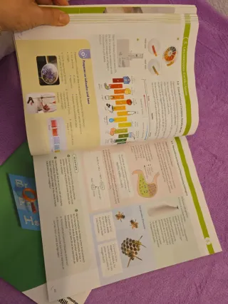 FISICA I QUIMICA 4 ESO CONSTRUINT MONS