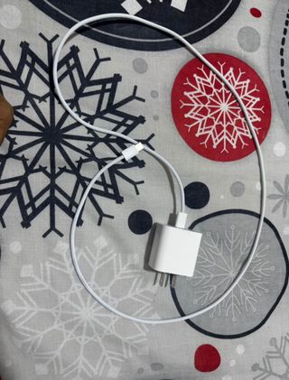 Cargador Apple iPhone Blanco