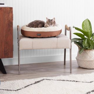 Amazon Basics Cama Redonda para Perro o Gato con P