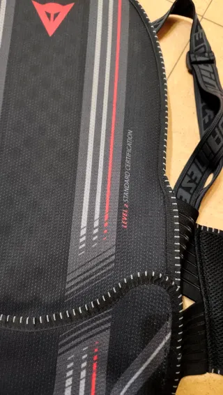 Espaldera nivel 2 cazadora moto dainese S M