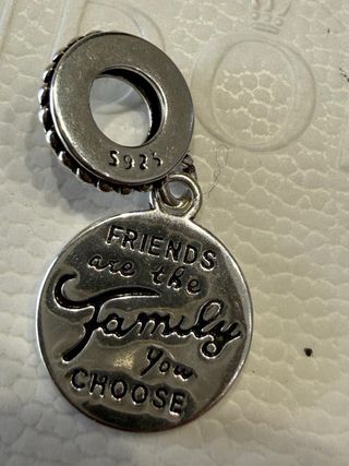 Pandora Charm Colgante Friends are the Family