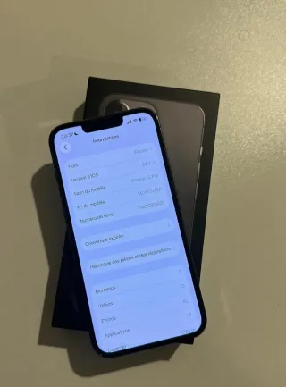 iPhone 13 Pro Gris/Plata