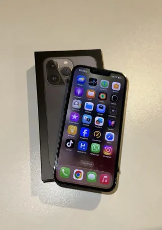 iPhone 13 Pro Gris/Plata