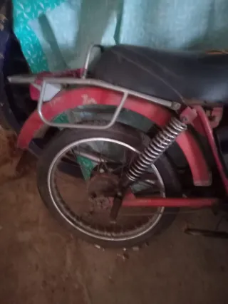 Derbi Rabasa Campeona del Mundo