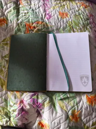 Libreta Groot Guardianes de la Galaxia
