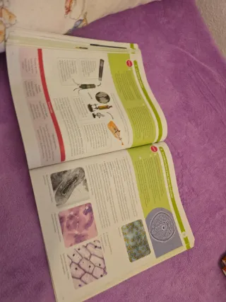 BIOLOGIA Y GEOLOGIA 4ESO OBSERVAMOS CONSTRUYEND...