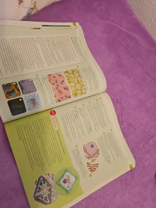 BIOLOGIA Y GEOLOGIA 4ESO OBSERVAMOS CONSTRUYEND...