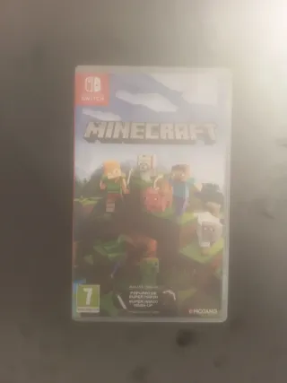 Minecraft Nintendo Switch