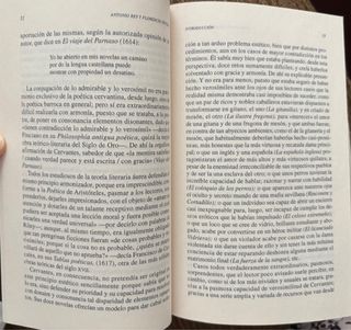 Novelas ejemplares. Selección