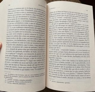 Novelas ejemplares. Selección