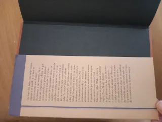 Sus ojos miraban a Dios