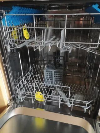 Lavavajillas Candy averiado