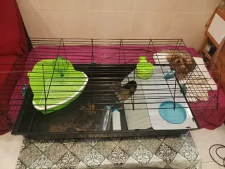 Jaula para cobayas y conejos