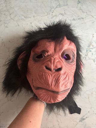 2 Maschere Carnevale Zucca e Scimmia