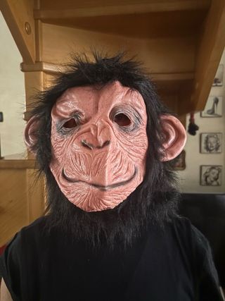 2 Maschere Carnevale Zucca e Scimmia