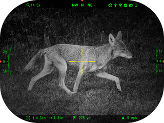 Mirino ATN X-SIGHT 5 5-25X 1000mt NUOVO