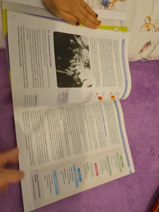 HISTORIA ESPAÑA 2BTO MEDITERR CM CATAL