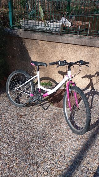 Bicicleta junior ruedas 24