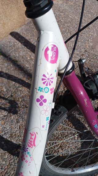 Bicicleta junior ruedas 24