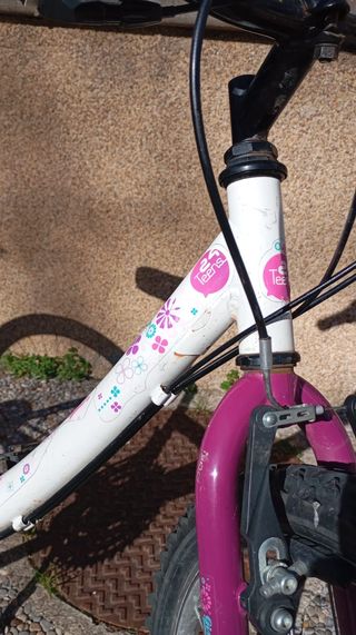 Bicicleta junior ruedas 24