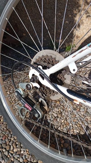 Bicicleta junior ruedas 24