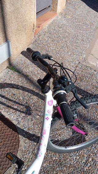 Bicicleta junior ruedas 24