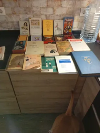 Cartas Desde el Infierno (Letters from Hell) (S...